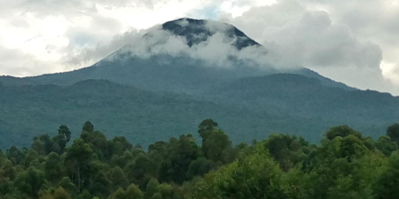 Mondi Lodge Kisoro Kültér fotó